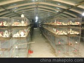 蚌埠懷遠縣新城區光大水泥制品廠——建筑脊梁·匠心傳承
